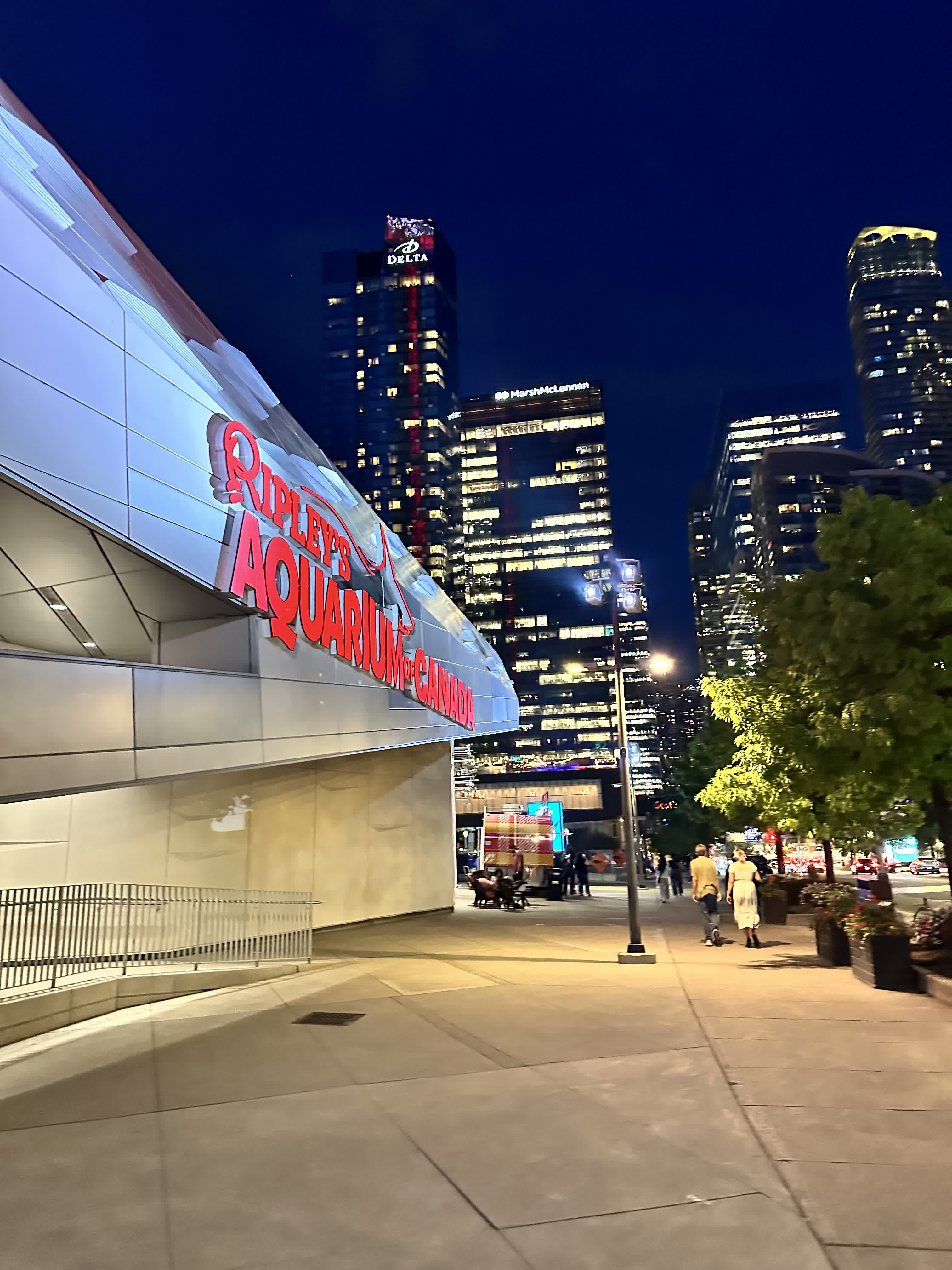 Ripley's Aquarium of Canada lit up at night