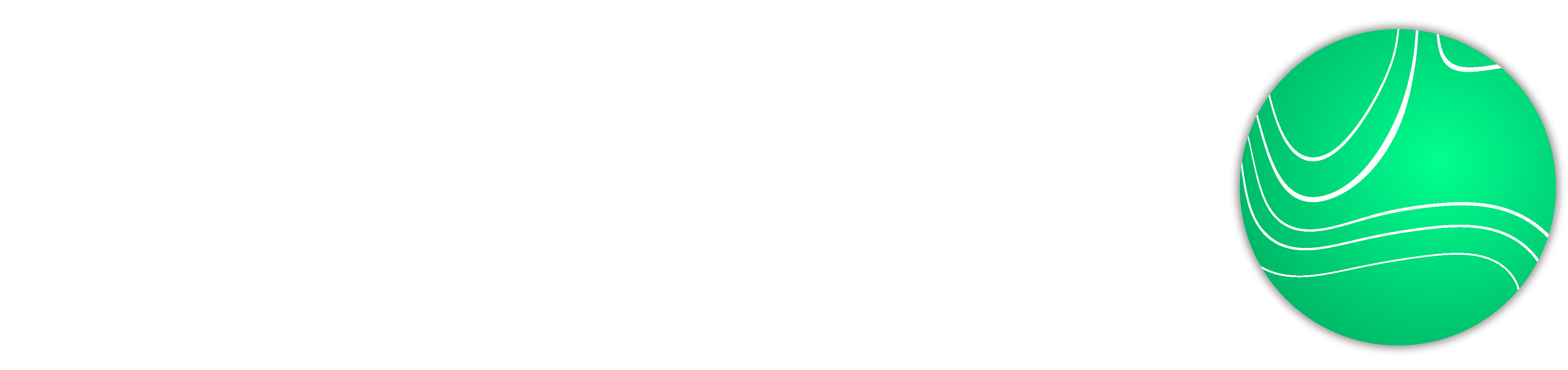 Logo of the Leisure Walking Systems Working Group